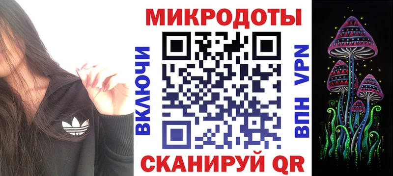 Псилоцибиновые грибы Psilocybine cubensis Иннополис