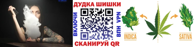 Бошки Шишки семена Иннополис
